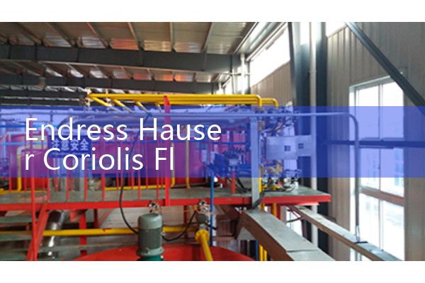 Endress Hauser Coriolis Flow Meter Manual PDF: Promass Series Installation and Wiring